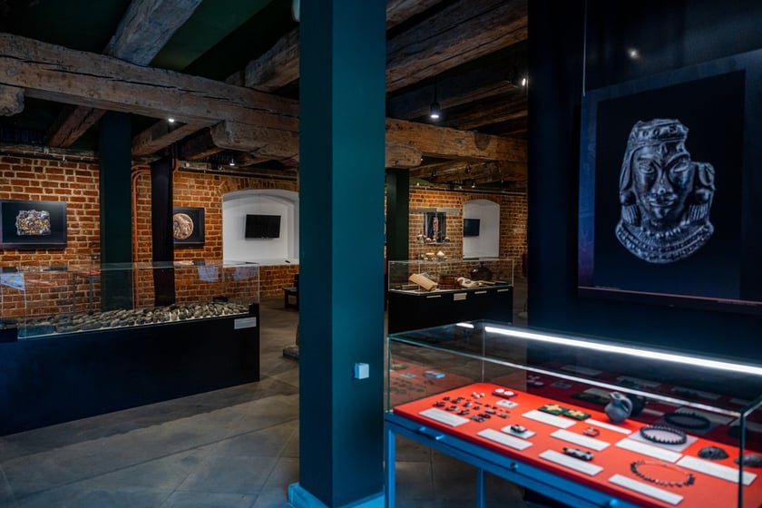 Wystawa Artificalia, naturalia, exotica w Muzeum Archeologicznym we Wrocławiu